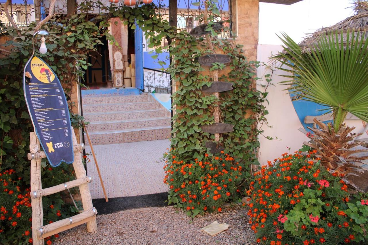 Afica Surf House Pansiyon Imsouane Dış mekan fotoğraf