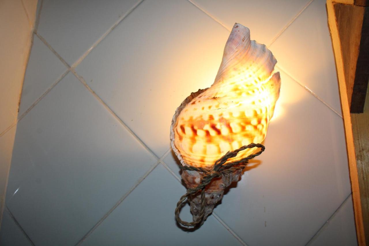 Afica Surf House Pansiyon Imsouane Dış mekan fotoğraf