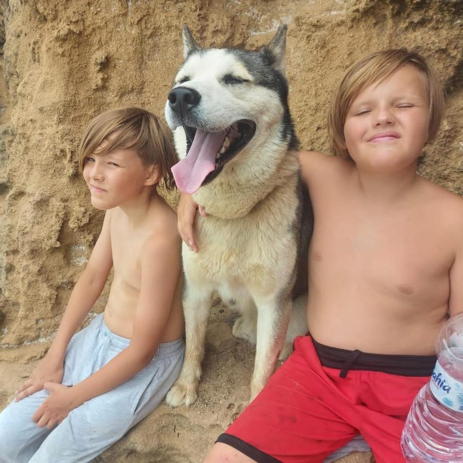 Afica Surf House Pansiyon Imsouane Dış mekan fotoğraf